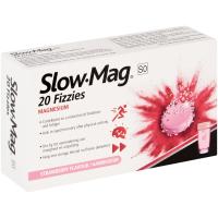 Slow Mag Fizzies  Effervescent Tablets 20's